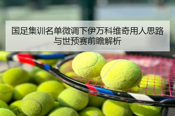 国足集训名单微调下伊万科维奇用人思路与世预赛前瞻解析